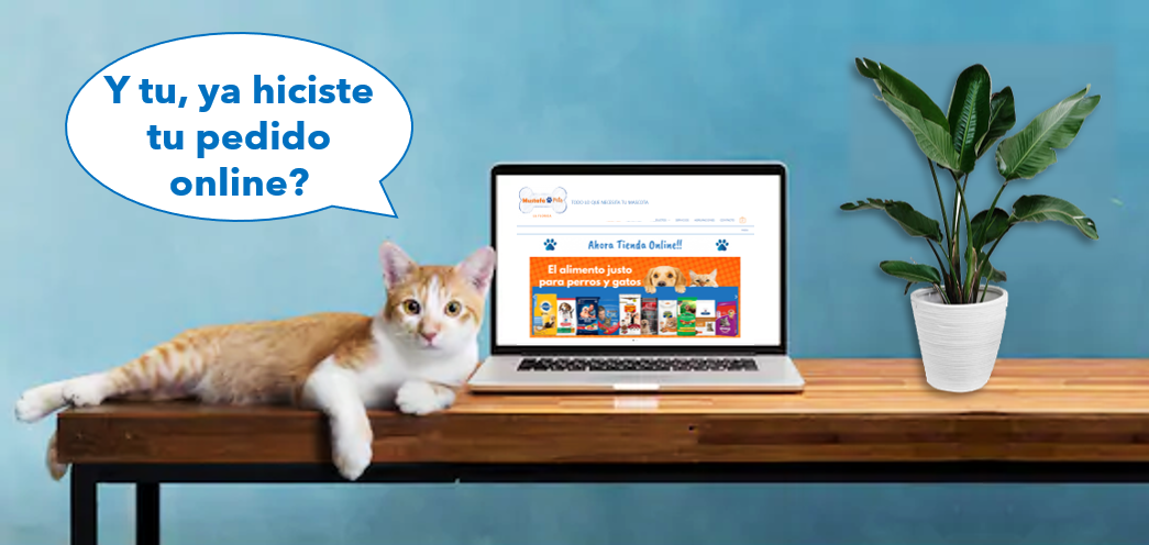 carrusel gato pedido online